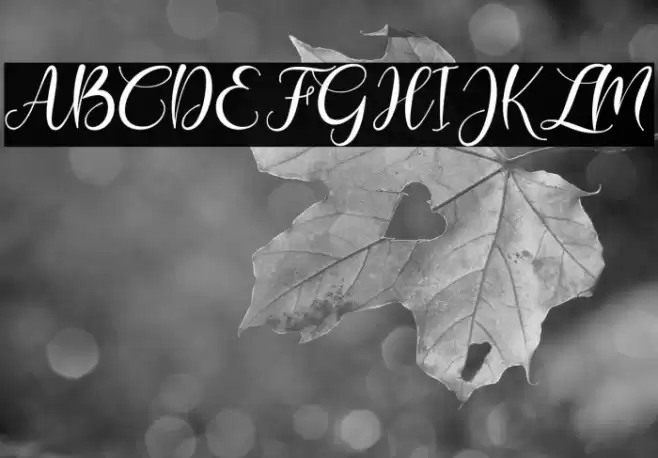 Bonita Font examples