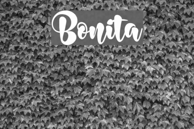 Bonita Font examples