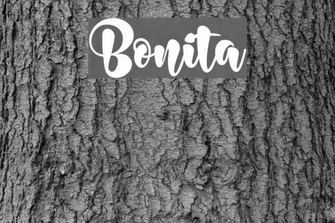 Bonita Font examples