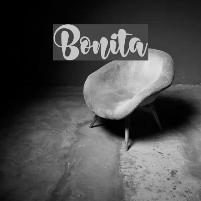 Bonita Font examples