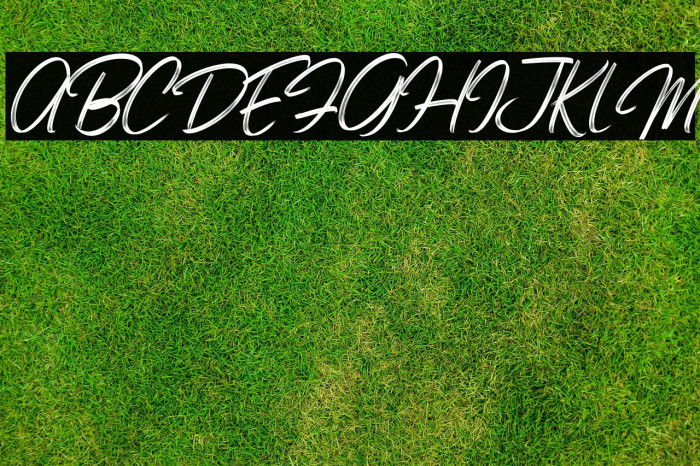 Bonitto Italic Example 2