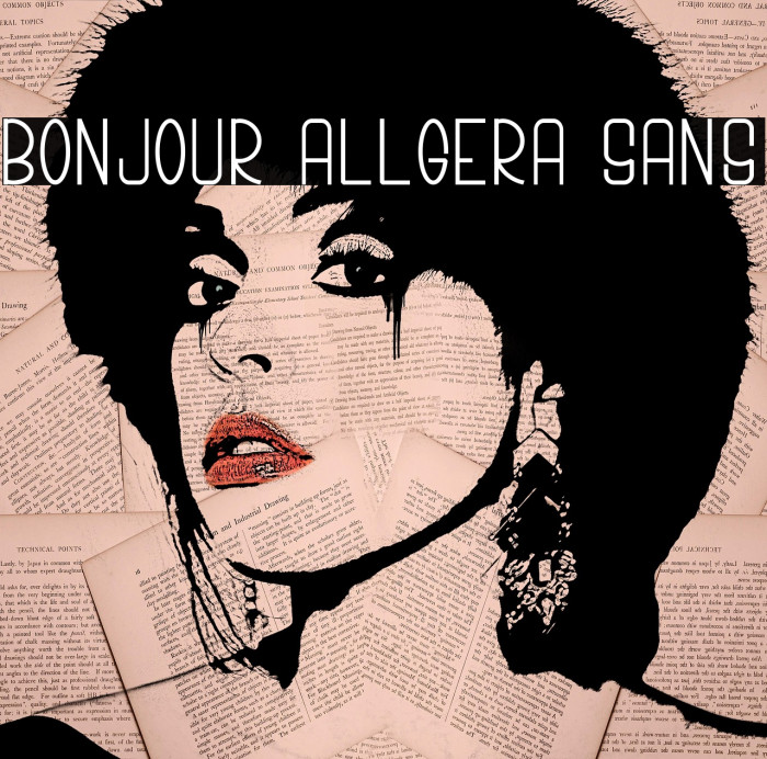 Bonjour Allgera Sans Example 1