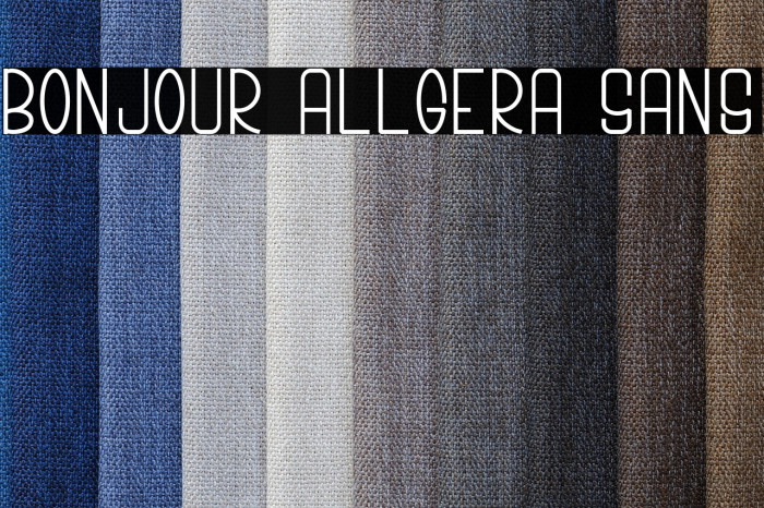 Bonjour Allgera Sans Example 3