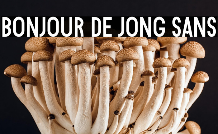 Bonjour De Jong Sans Example 2