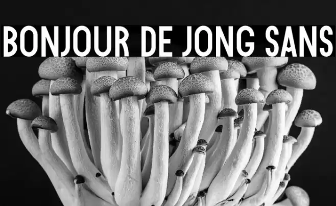 Bonjour De Jong Sans Font examples