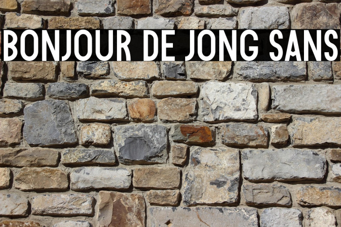 Bonjour De Jong Sans Example 3
