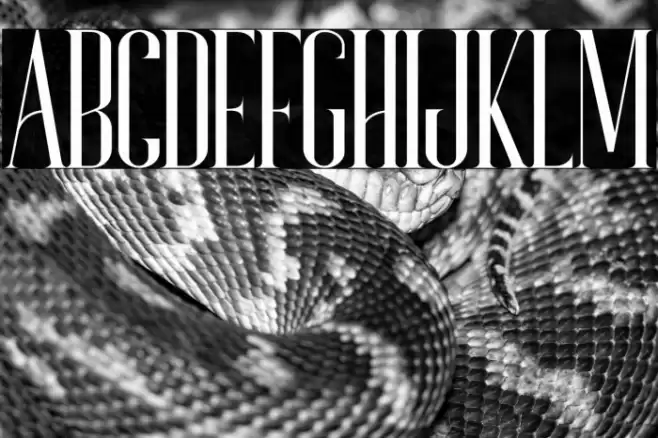 Bonjour Font examples