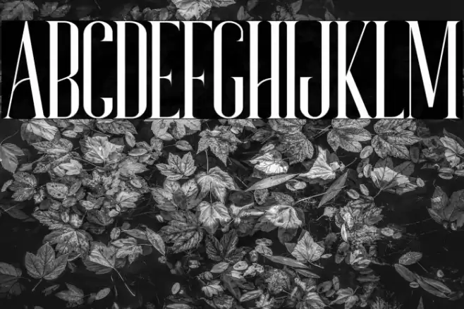 Bonjour Font examples