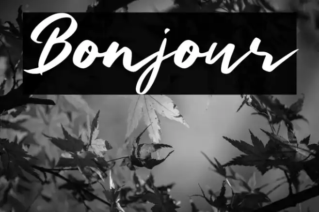 Bonjour Example 1