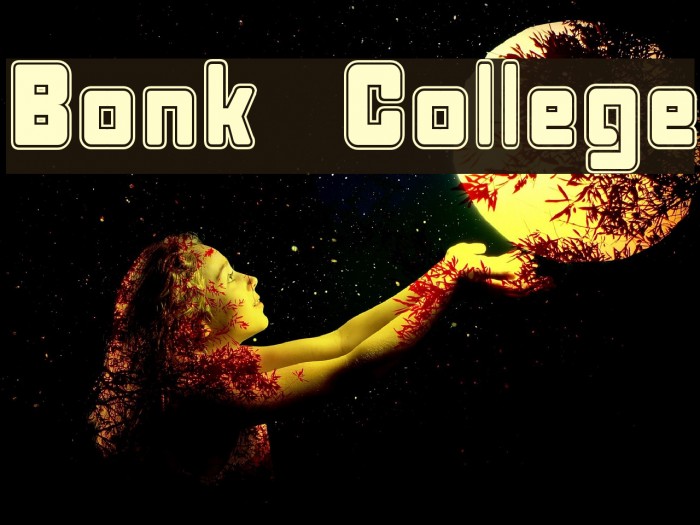 Bonk College Font examples