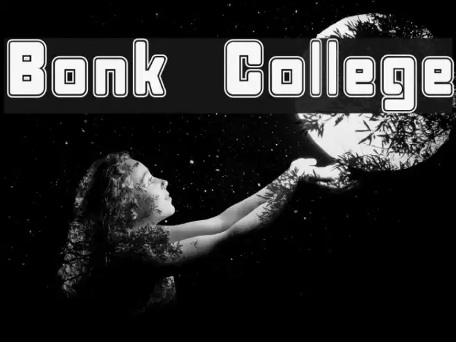 Bonk College Font examples