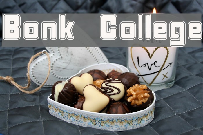 Bonk College Font examples