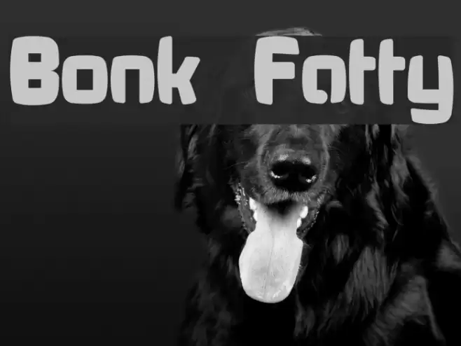 Bonk Fatty Font examples