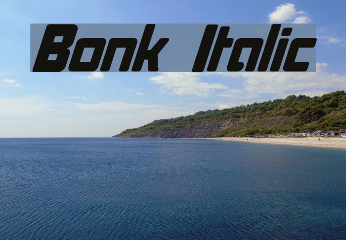 Bonk Italic Font examples