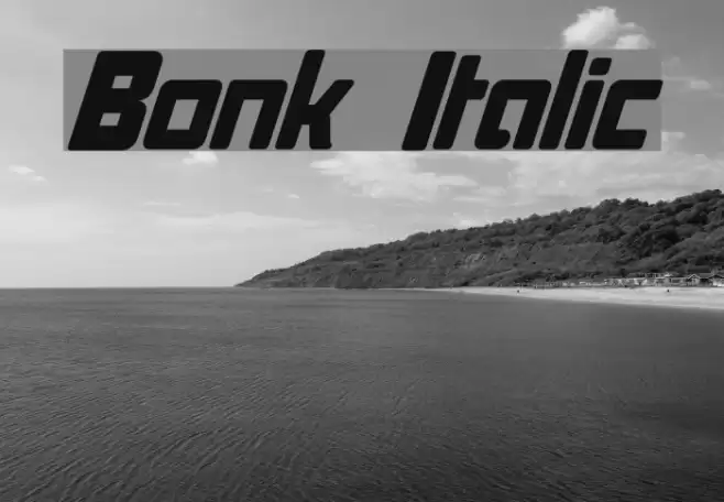 Bonk Italic Шрифта examples