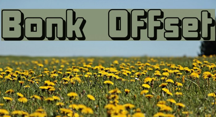 Bonk Offset Шрифта examples