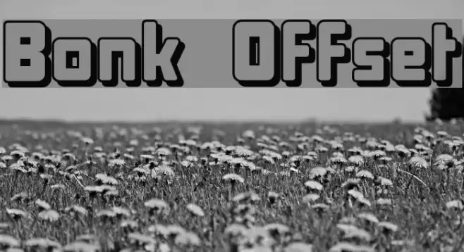 Bonk Offset Шрифта examples