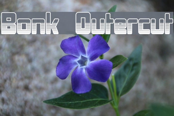 Bonk Outercut Font examples