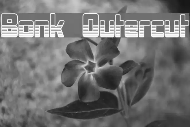 Bonk Outercut फ़ॉन्ट examples