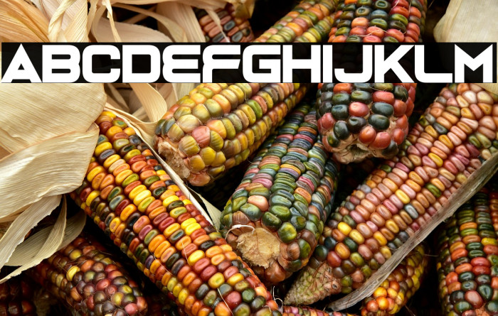 Bonk Robbers Example 1