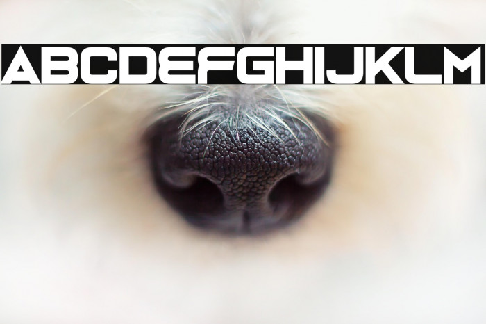 Bonk Robbers Example 2