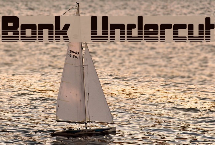 Bonk Undercut Font examples