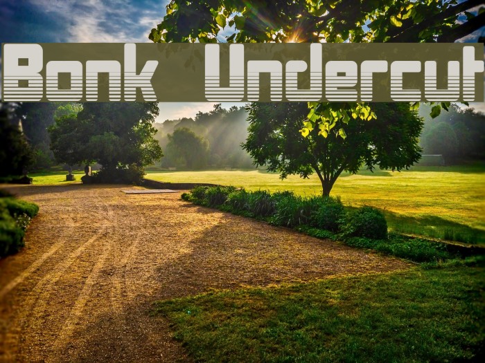 Bonk Undercut Font examples