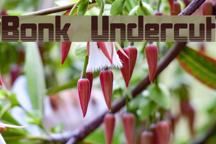 Bonk Undercut Font examples