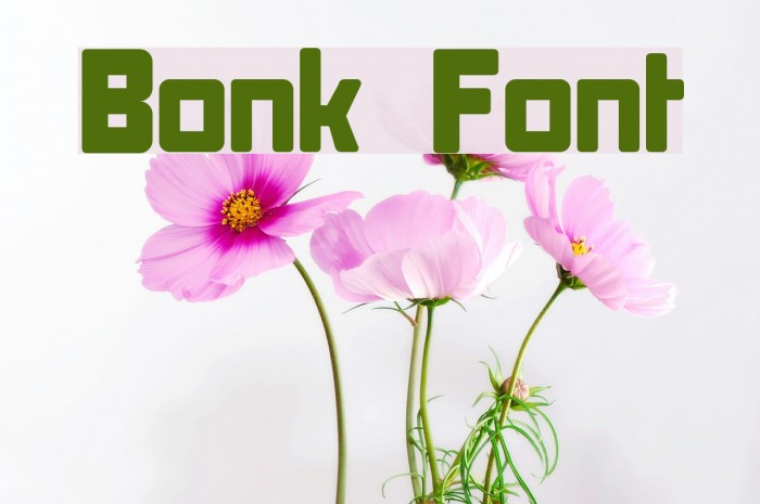 Bonk Font examples