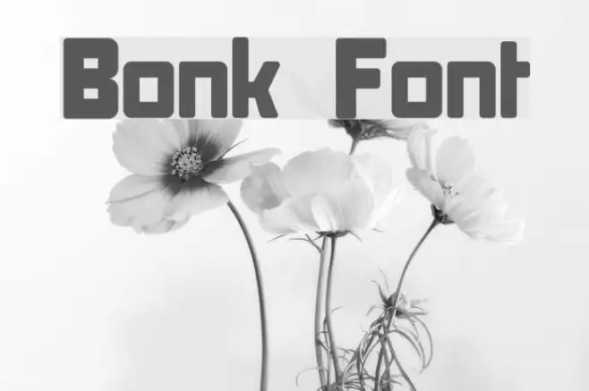 Bonk Example 2