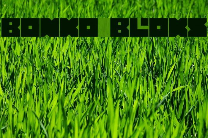 Bonko Bloks Font examples