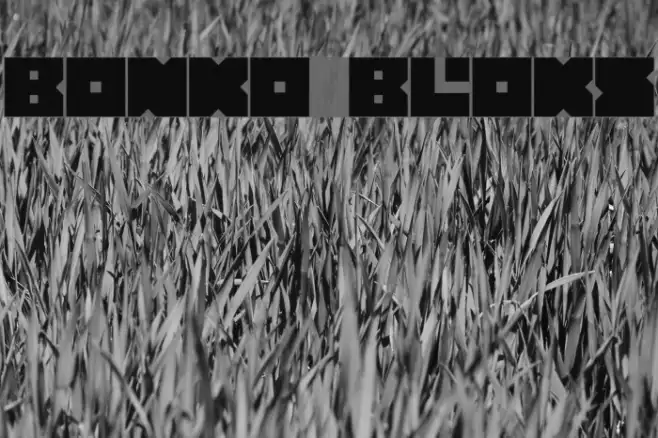 Bonko Bloks Example 1