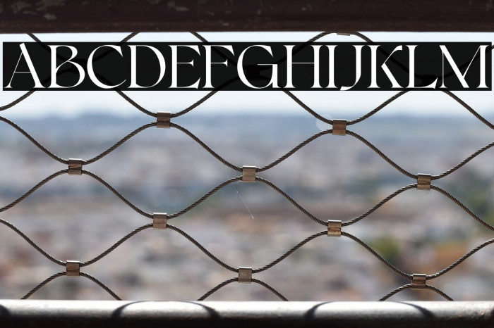 Bonkyfreepersonaluse-Regular Example 1