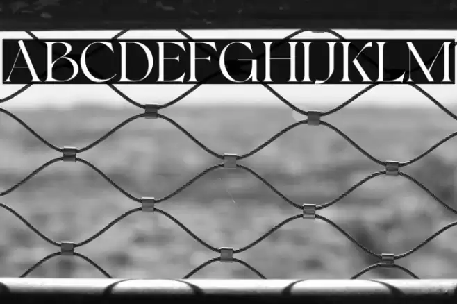 Bonkyfreepersonaluse-Regular Font examples