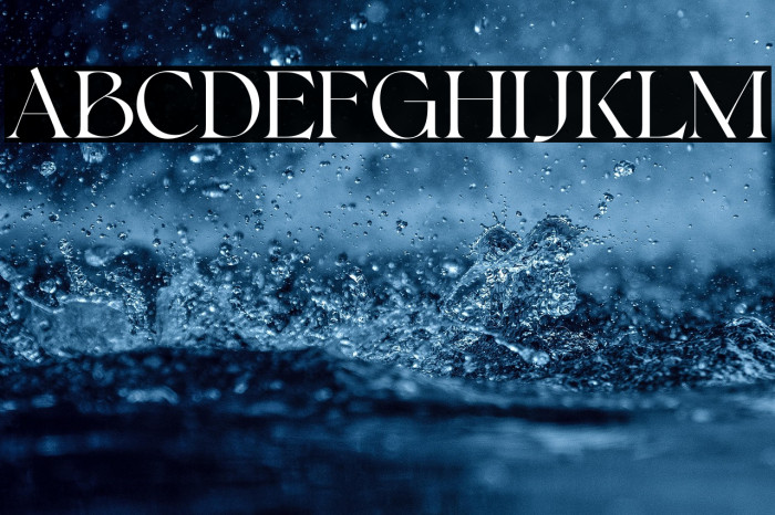 Bonkyfreepersonaluse-Regular Example 2