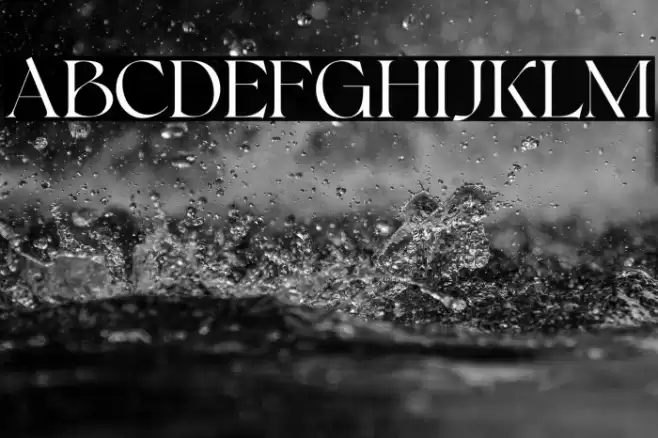 Bonkyfreepersonaluse-Regular Font examples