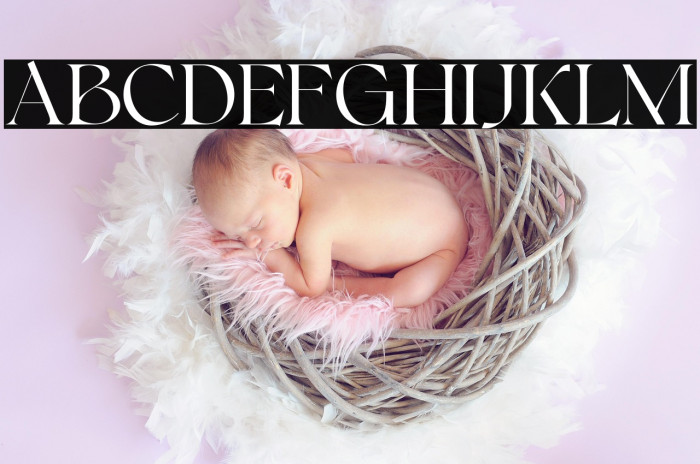 Bonkyfreepersonaluse-Regular Example 3