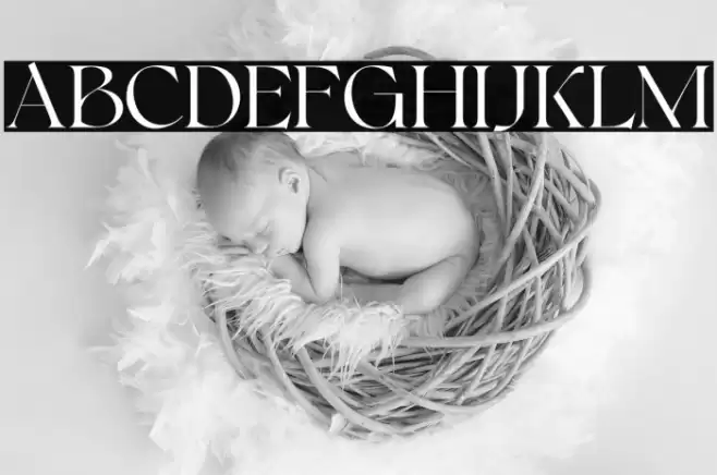 Bonkyfreepersonaluse-Regular Font examples