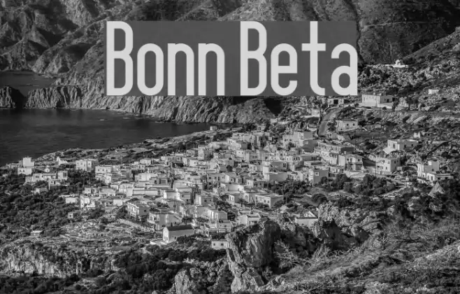 Bonn Beta Example 2