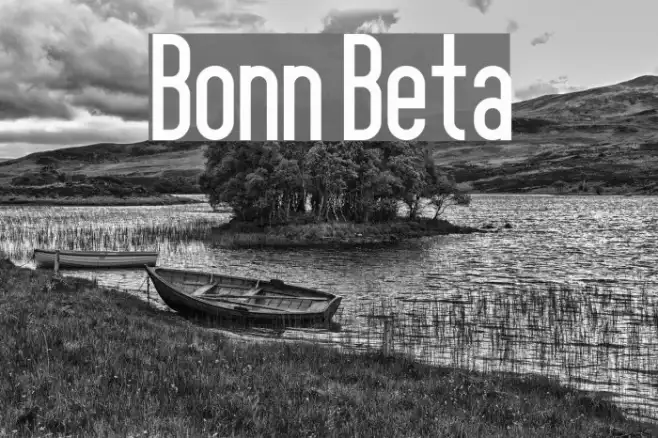 Bonn Beta Example 3
