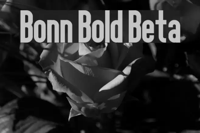 Bonn Bold Beta Font examples