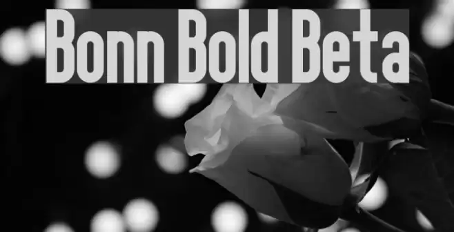 Bonn Bold Beta Font examples