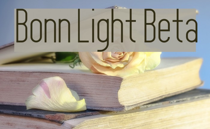 Bonn Light Beta Polices examples