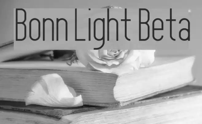 Bonn Light Beta Polices examples