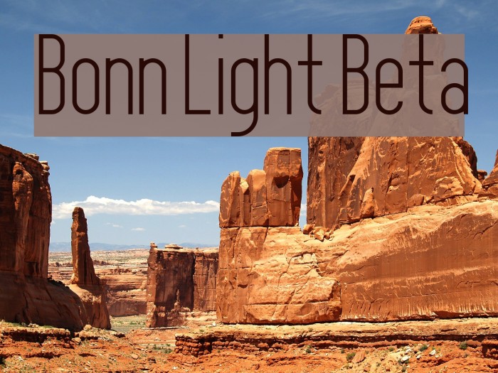 Bonn Light Beta Polices examples