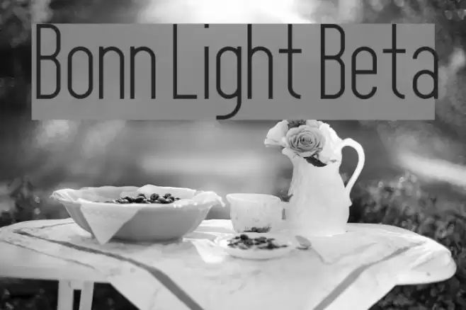 Bonn Light Beta Polices examples