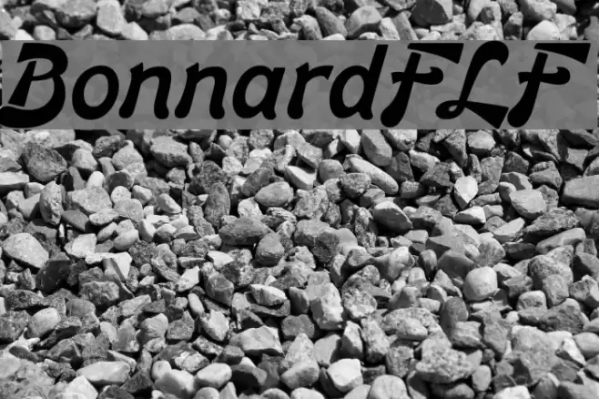 BonnardFLF Font examples
