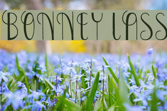 Bonney Lass Font examples