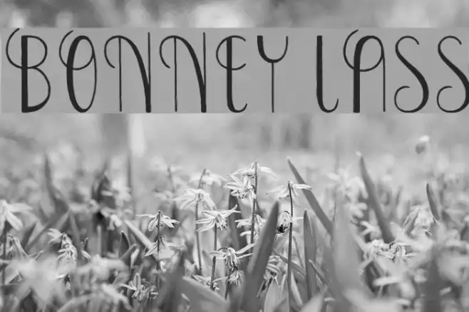 Bonney Lass Example 1