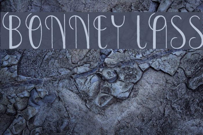 Bonney Lass Font examples